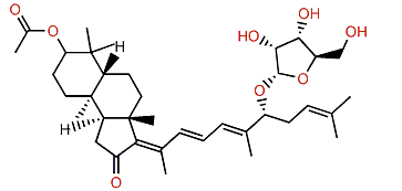 (13E)-Stelliferin riboside